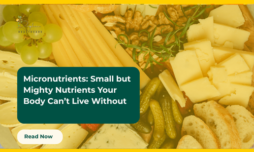 Micronutrients: Small but Mighty Nutrients Your Body Can’t Live Without